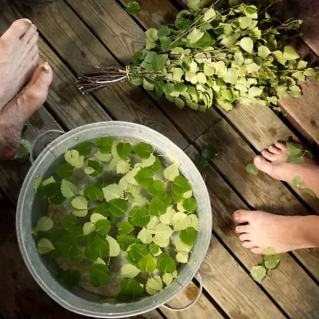 Hotel Isokenkaeisten Klubi - Wilderness Kivipera