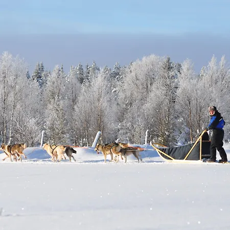 Isokenkaeisten Klubi - Wilderness Hotel