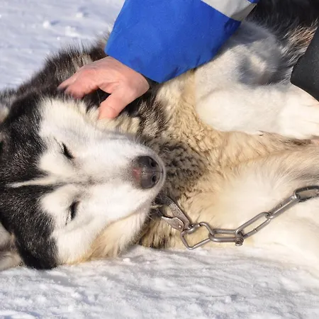 Hotel Isokenkaeisten Klubi - Wilderness Kivipera