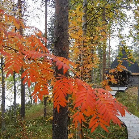 Isokenkaeisten Klubi - Wilderness Kiviperä