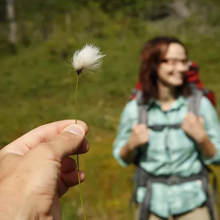 Isokenkaeisten Klubi - Wilderness 2* Kiviperä