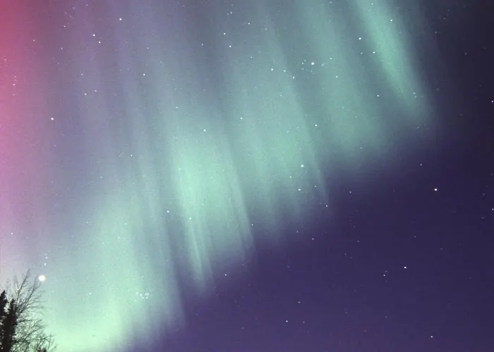 فندق Isokenkaeisten Klubi - Wilderness