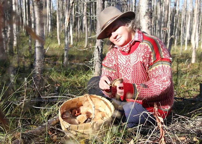 Hotelli Isokenkäisten Klubi - Wilderness 2*