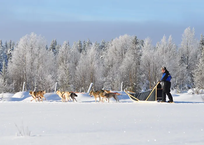 Isokenkäisten Klubi - Wilderness Hotelli