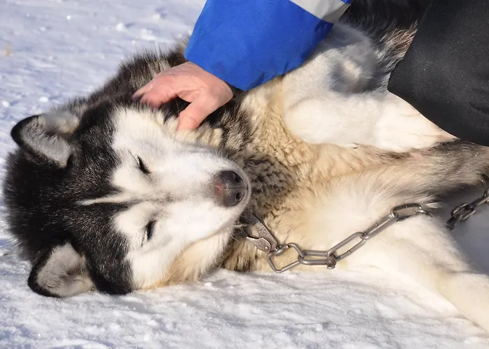 Hotelli Isokenkäisten Klubi - Wilderness Kiviperä