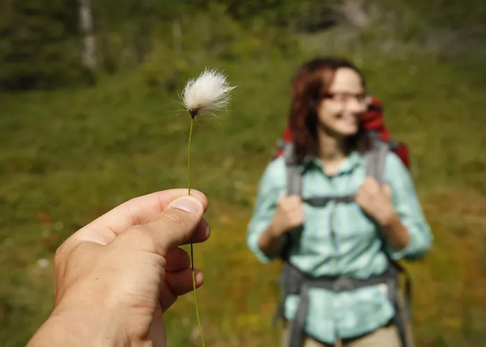 Isokenkaeisten Klubi - Wilderness 2* Kiviperä